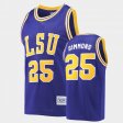 #25 Ben Simmons Commemorative Basketball Tigers Commemorative Classic Men's Purple Jersey 293522-926