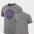 2018 Player Travel Legend LSU Performance Mens Charcoal T-Shirt 748455-740
