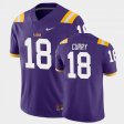 #18 Chris Curry Game LSU Tigers College Football Mens Purple Jersey 248908-657