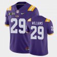 #29 Greedy Williams Game LSU Tigers 2020 Football Mens Purple Jersey 114566-301